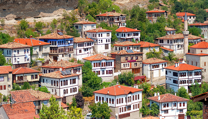 【土耳其】 醉戀蕃紅花/奇幻鄂圖曼